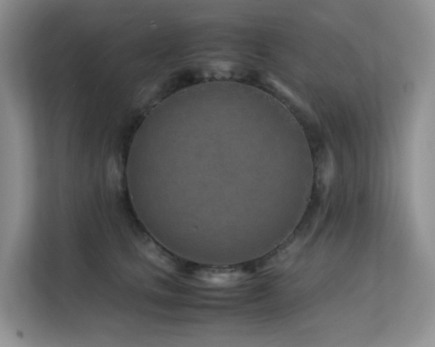 X0000112170661200908071159