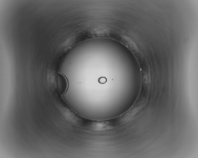 X0000112170662200908071159