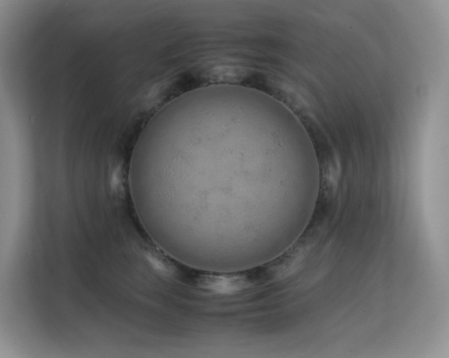 X0000112170663200908071159