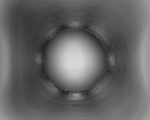 X0000112170665200908071159