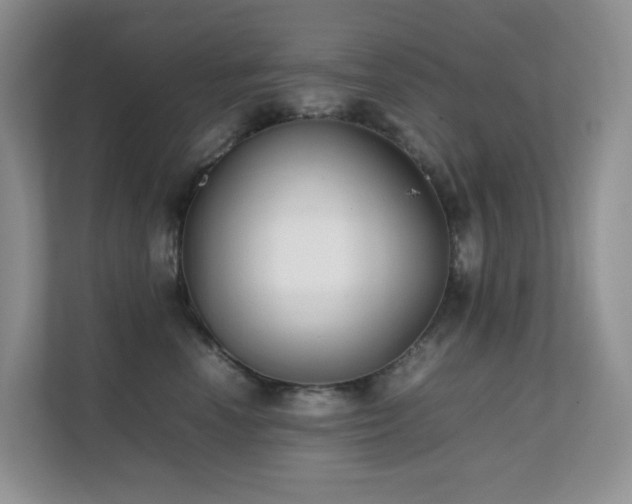 X0000112170666200908071159