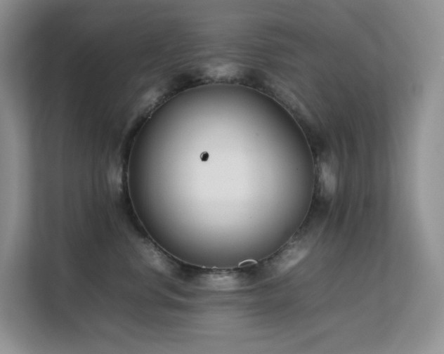 X0000112170668200908071159