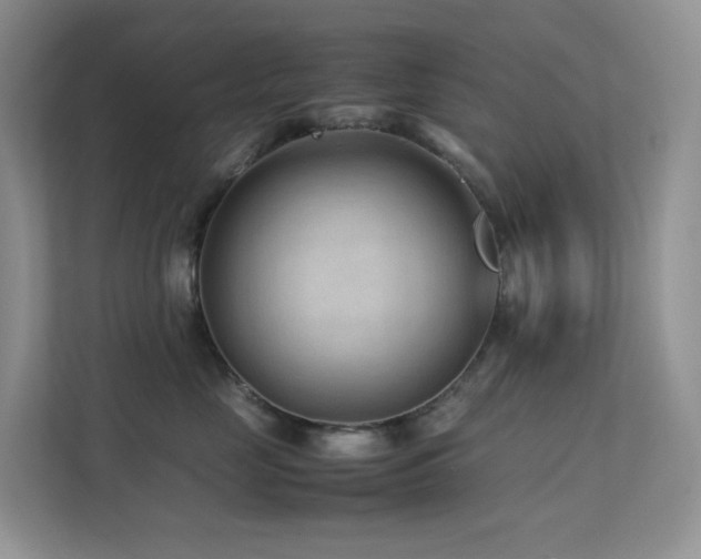 X0000112170669200908071159