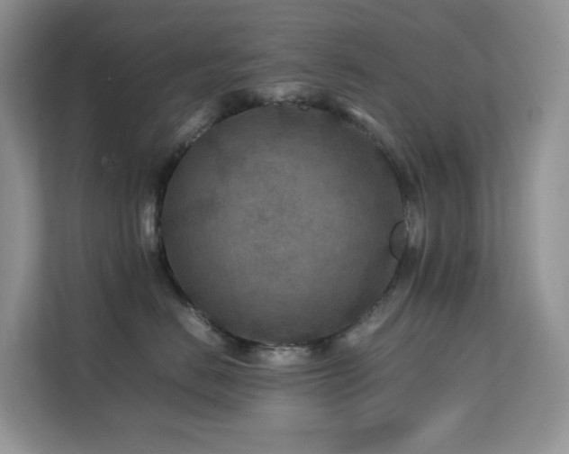 X0000112170670200908071159