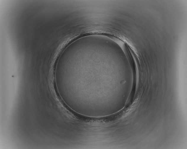 X0000112170673200908071159