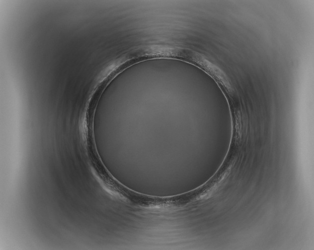 X0000112170674200908071159