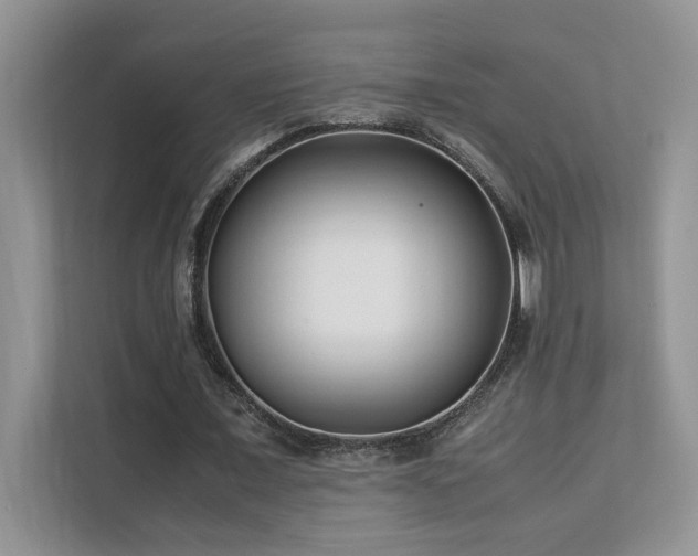 X0000112170675200908071159