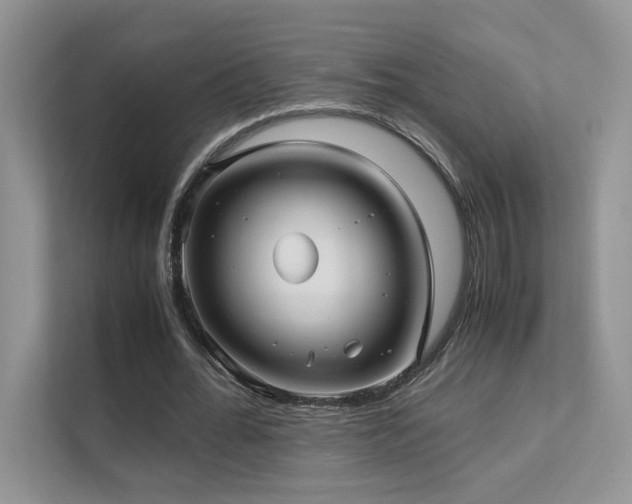 X0000112170676200908071159