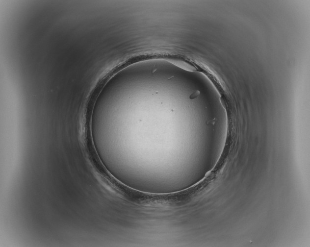 X0000112170677200908071159