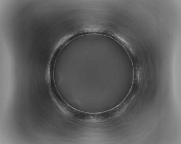 X0000112170678200908071159