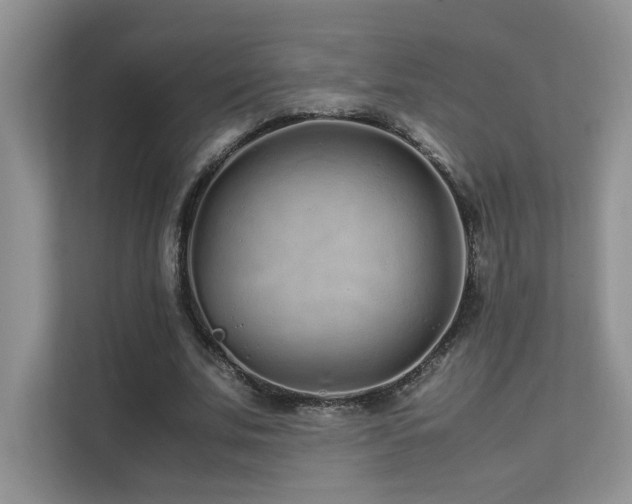 X0000112170679200908071159