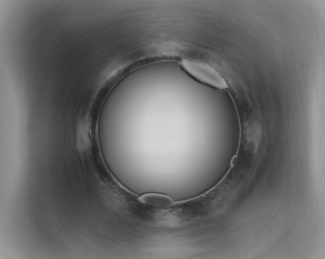 X0000112170680200908071159