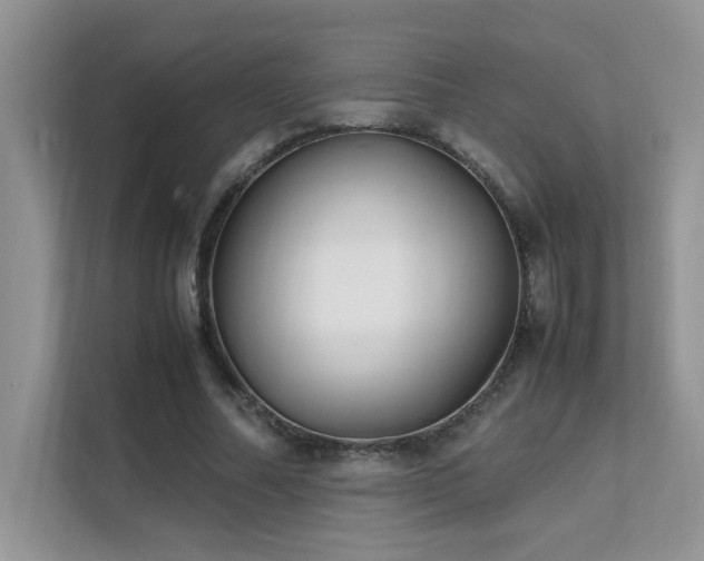 X0000112170682200908071158