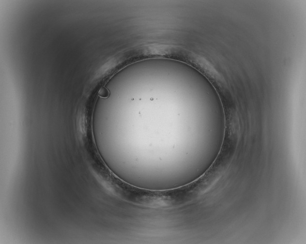 X0000112170683200908071158