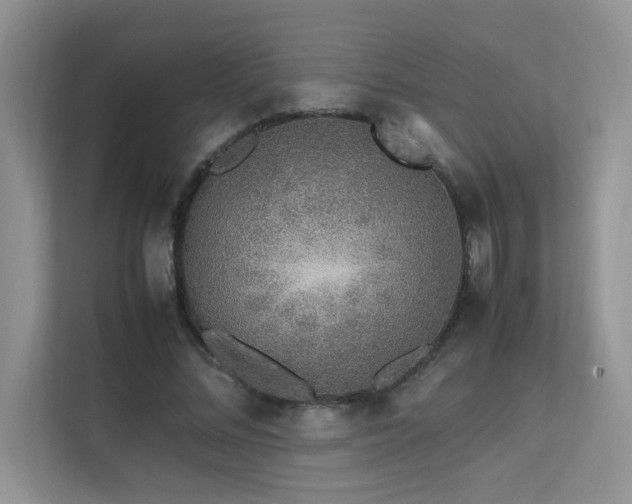 X0000112170684200908071158