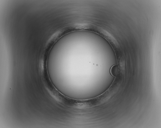 X0000112170686200908071158