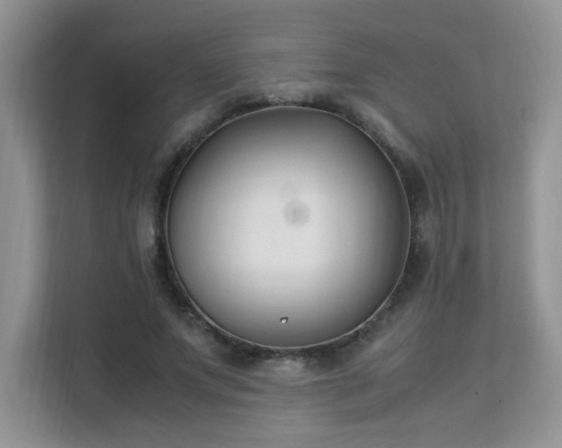 X0000112170687200908071158