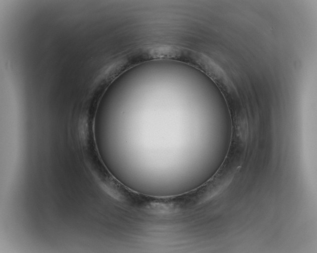 X0000112170690200908071158