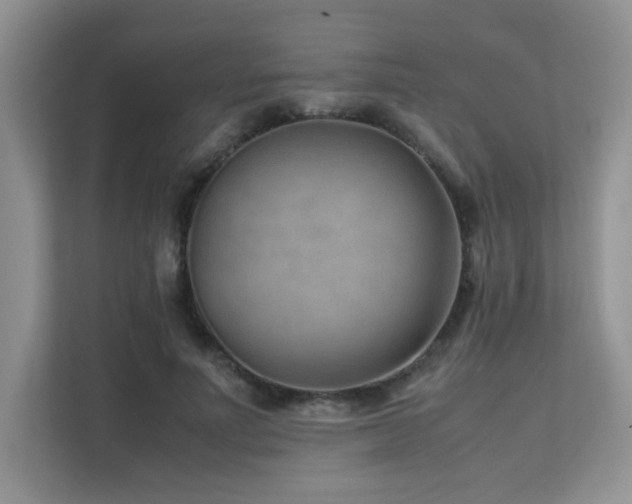 X0000112170691200908071158