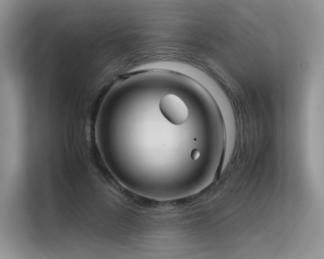 X0000112170696200908071158