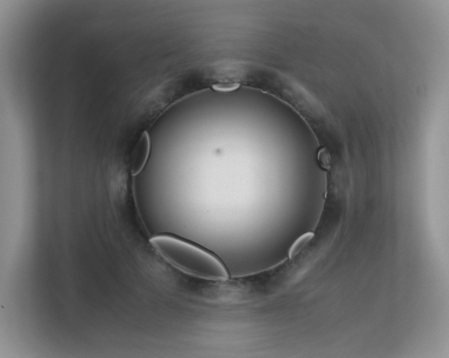 X0000112170697200908071158