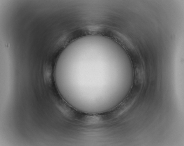 X0000112170698200908071158