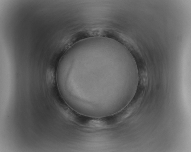 X0000112170699200908071158