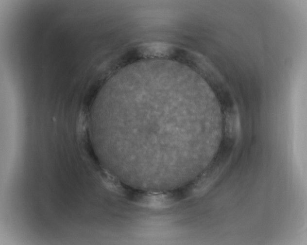 X0000112170701200908071158