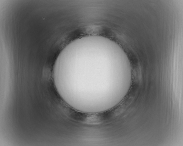 X0000112170705200908071158