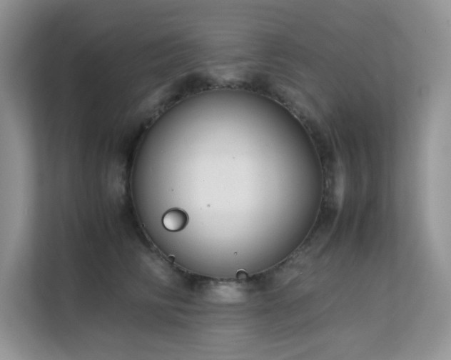 X0000112170710200908071158