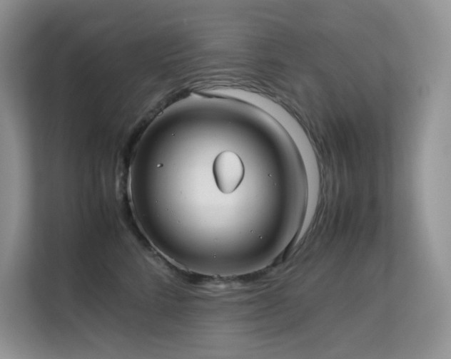 X0000112170712200908071158