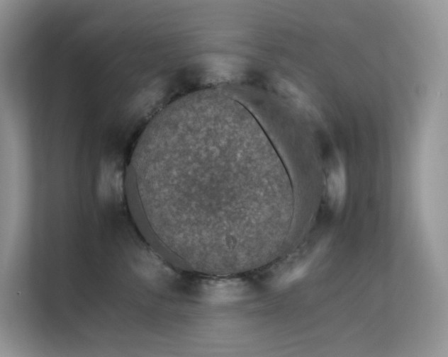 X0000112170716200908071158