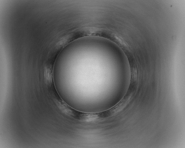 X0000112170719200908071158