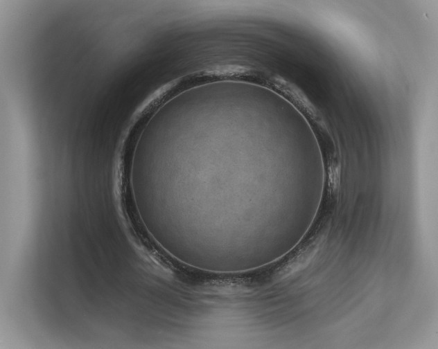 X0000112170724200908071157