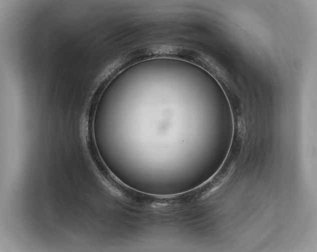 X0000112170725200908071157