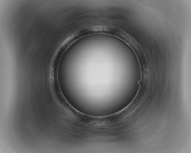 X0000112170727200908071157