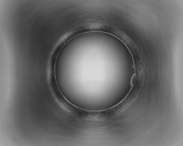 X0000112170728200908071157