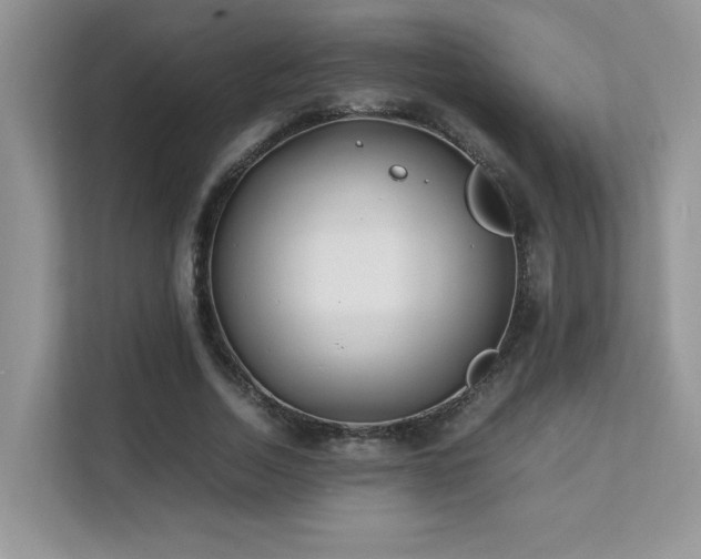 X0000112170730200908071157