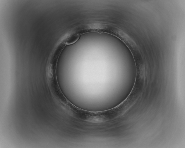 X0000112170731200908071158