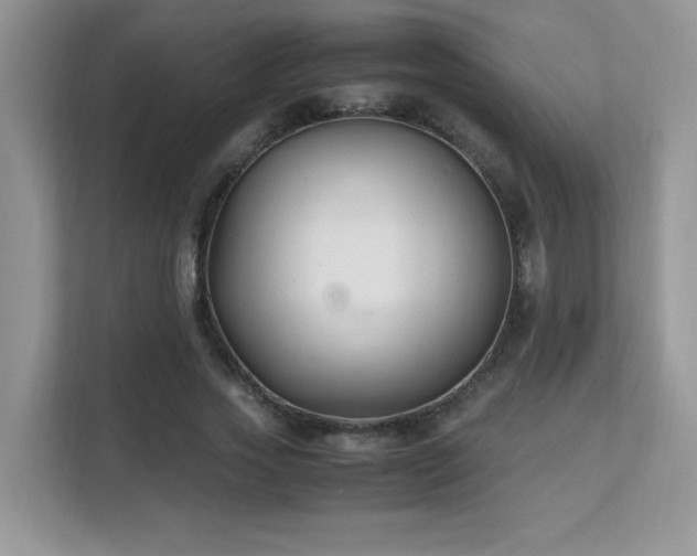 X0000112170733200908071158