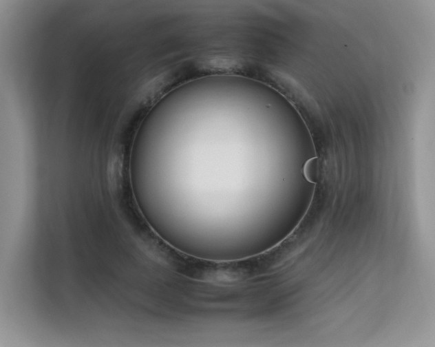 X0000112170739200908071158