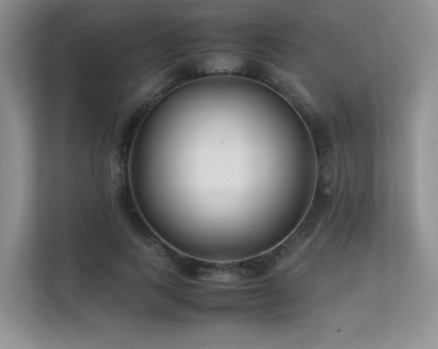 X0000112170743200908071158