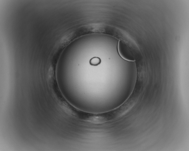 X0000112170748200908071158