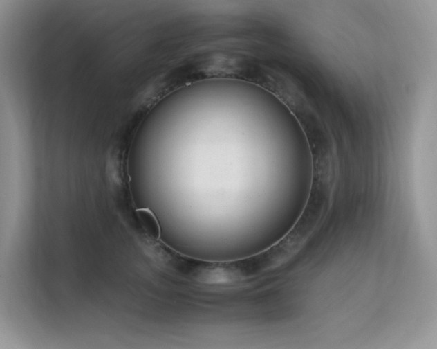 X0000112170755200908071158