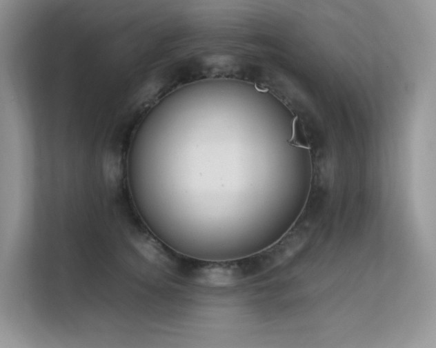 X0000112170756200908071158