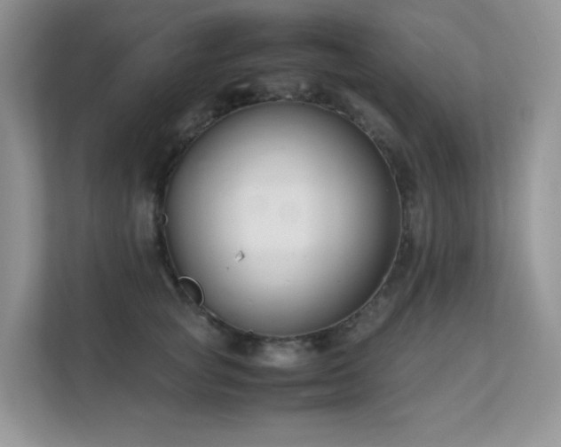 X0000112170757200908071158