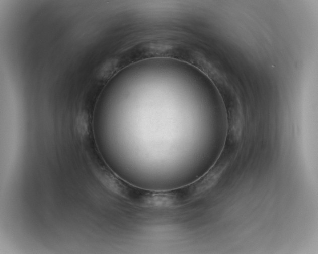 X0000112170758200908071158