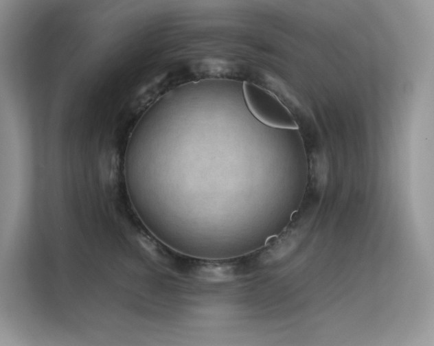 X0000112170760200908071158