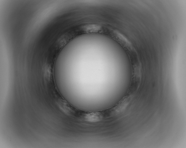 X0000112170761200908071158