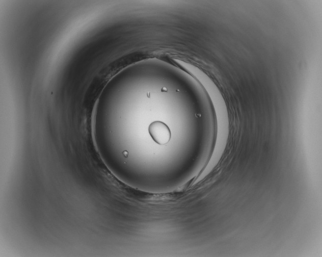 X0000112170762200908071158